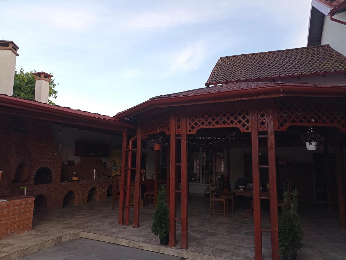 La Zinculescu Hotel Albestii Paminteni Luaran gambar