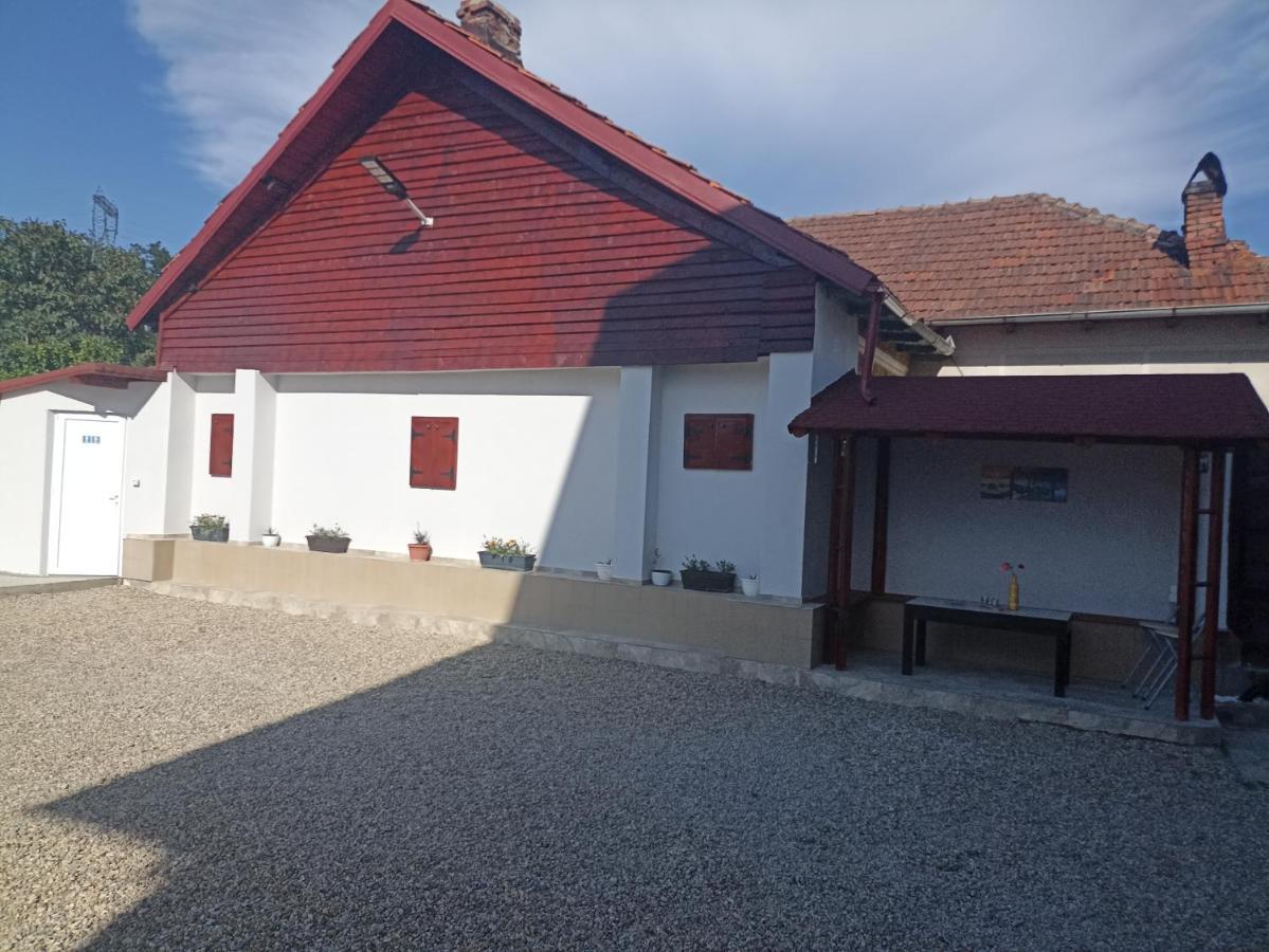 La Zinculescu Hotel Albestii Paminteni Luaran gambar