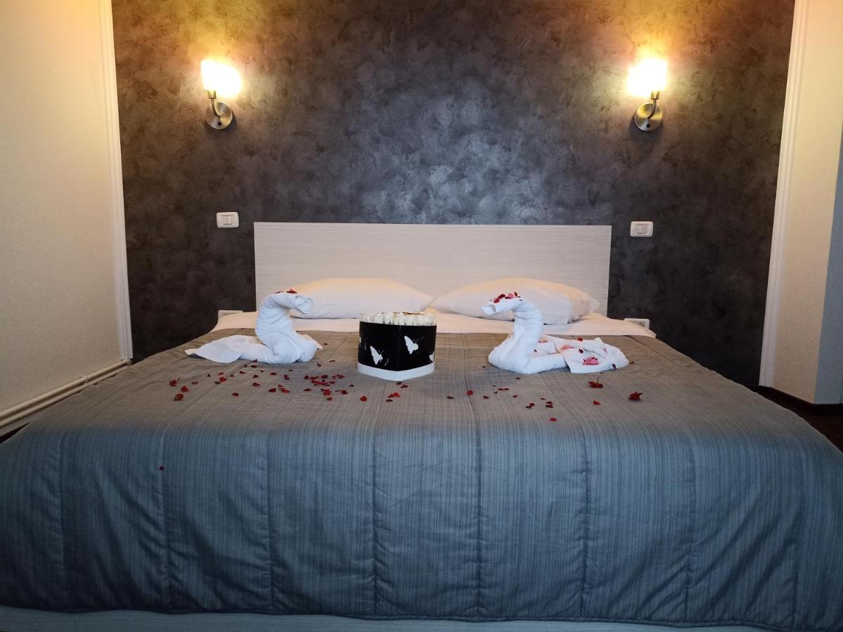La Zinculescu Hotel Albestii Paminteni Bilik gambar